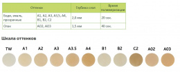 EsCom 100 Kit набор 8*4 гр ( А2/A2/A2/А3/А3/A3,5/OA3/B2) - светоотверждаемый пломб-й материал